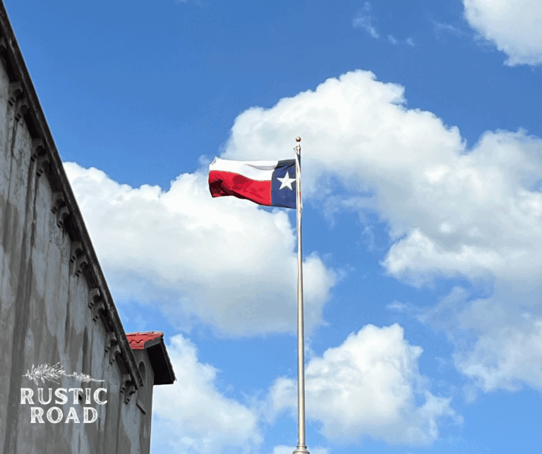 things to do in Fort worth Texas