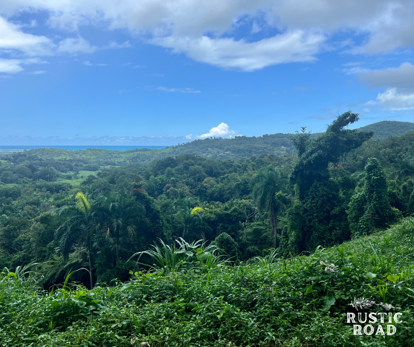Puerto Rico UTV Excursion San Juan