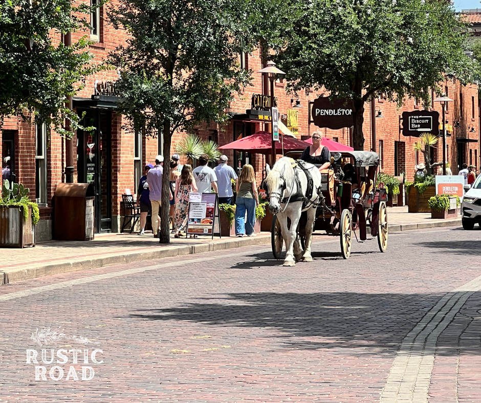 things to do in Fort worth Texas