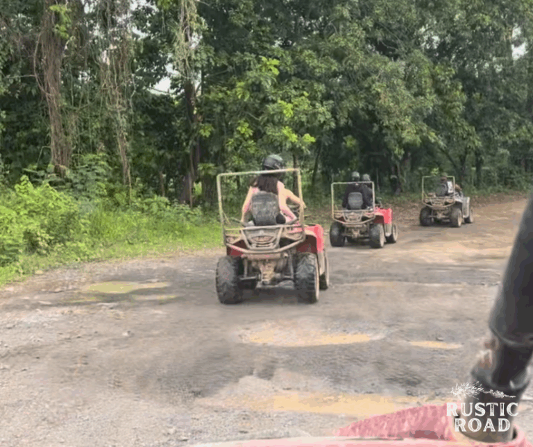 Puerto Rico UTV Excursion