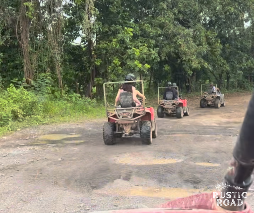 Puerto Rico UTV Excursion