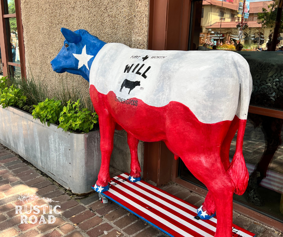 things to do in Fort worth Texas