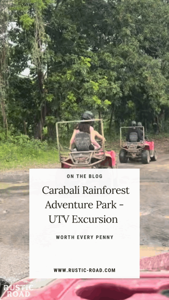 Puerto Rico UTV Excursion San Juan