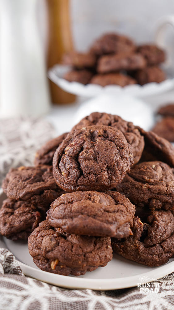 double chocolate pecan cookies