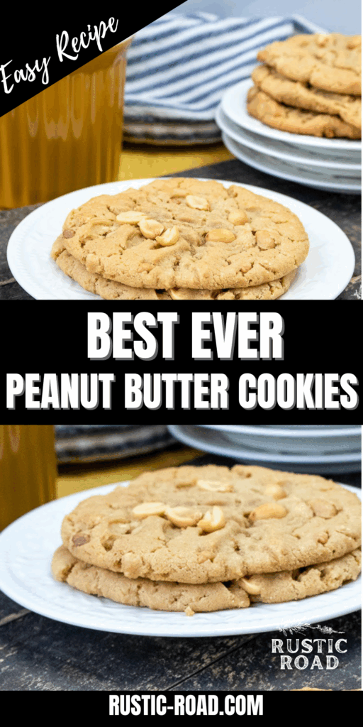 best peanut butter cookie recipe