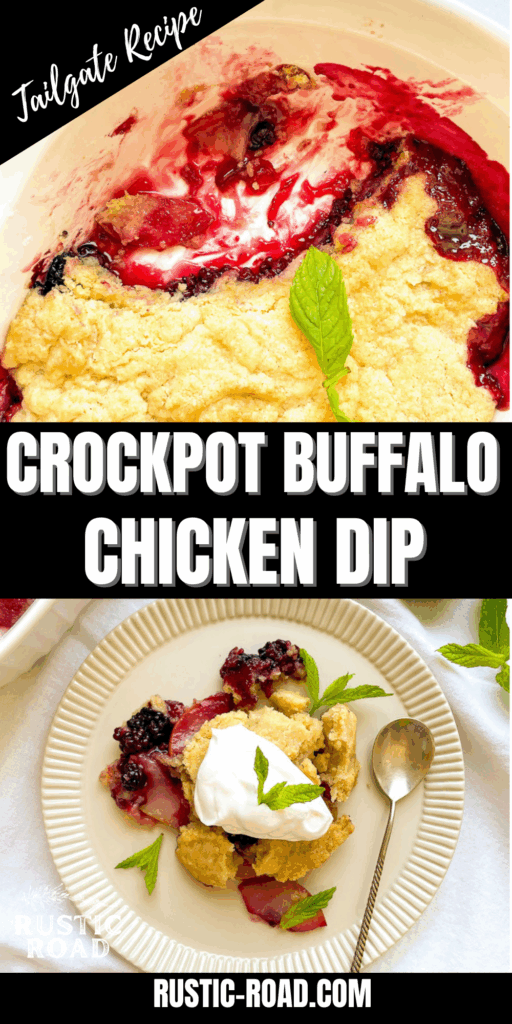 best crockpot buffalo chicken dip